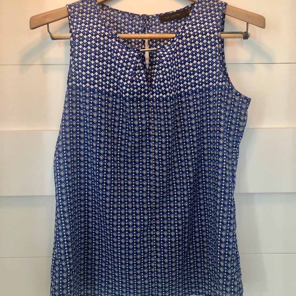 The Limited Blue and White Top